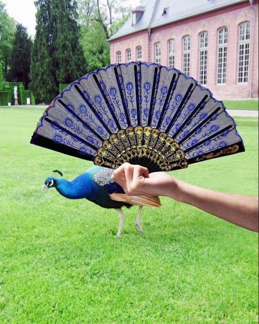 A World of Fantasy and Surrealism: The Best Works of Photographer Hugo Suissas A World of Fantasy and Surrealism: The Best Works of Photographer Hugo Suissas