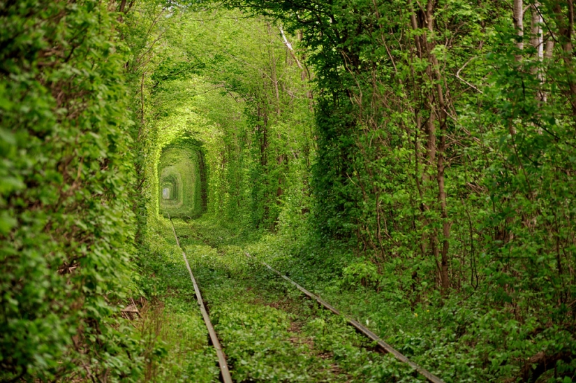 Abandoned railways