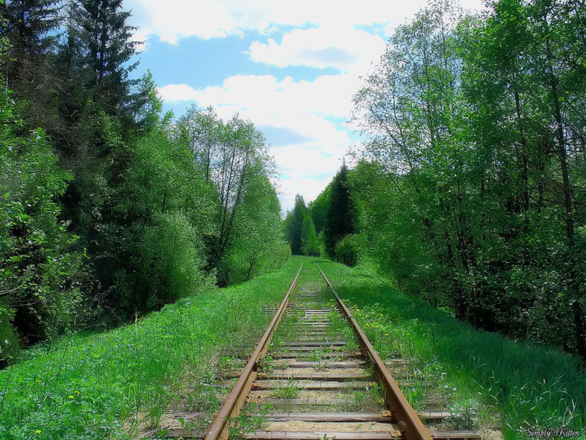 Abandoned railways