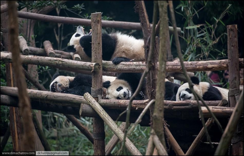 About the full realm of laziness About the full realm of laziness