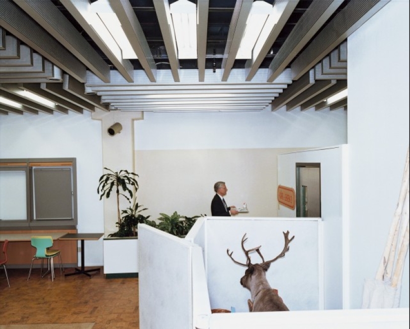 Absurd Stories in Photographs by Lars Tunbjörk