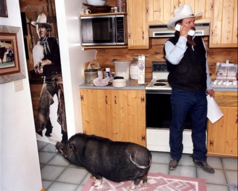 Absurd Stories in Photographs by Lars Tunbjörk
