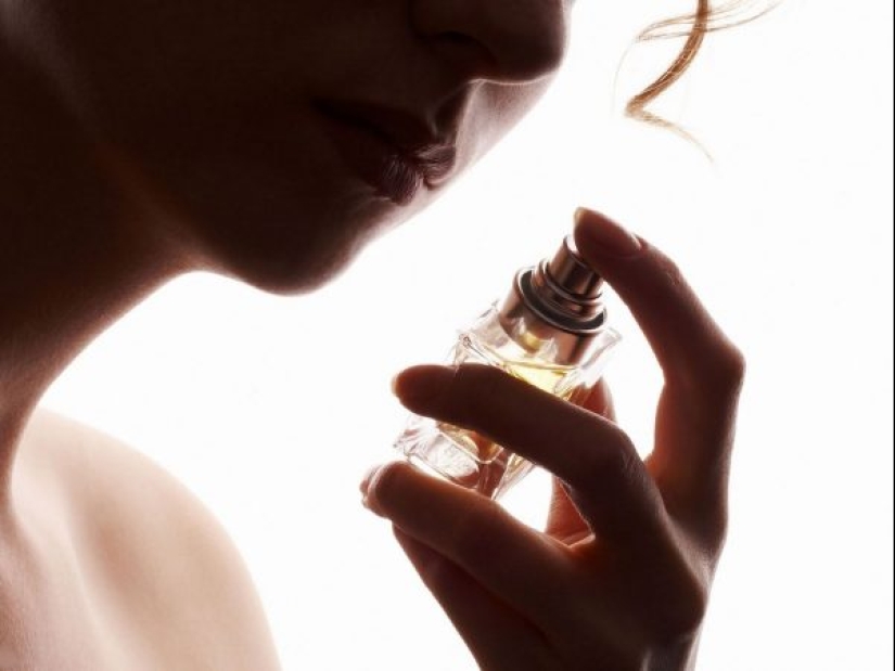 Acorde absoluta, y 6 perfumes de términos que una vergüenza no saber Acorde absoluta, y 6 perfumes de términos que una vergüenza no saber