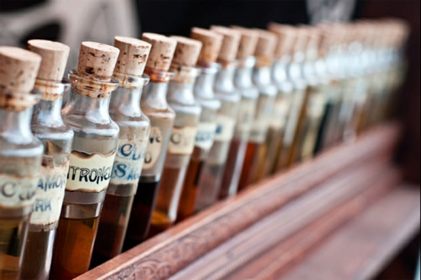 Acorde absoluta, y 6 perfumes de términos que una vergüenza no saber Acorde absoluta, y 6 perfumes de términos que una vergüenza no saber