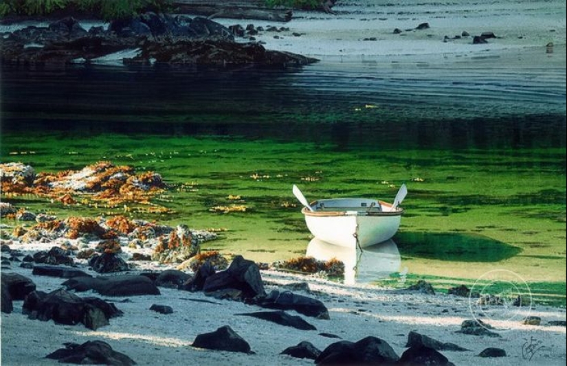 Acuarela realismo: los increíbles paisajes Carol Evans Acuarela realismo: los increíbles paisajes Carol Evans