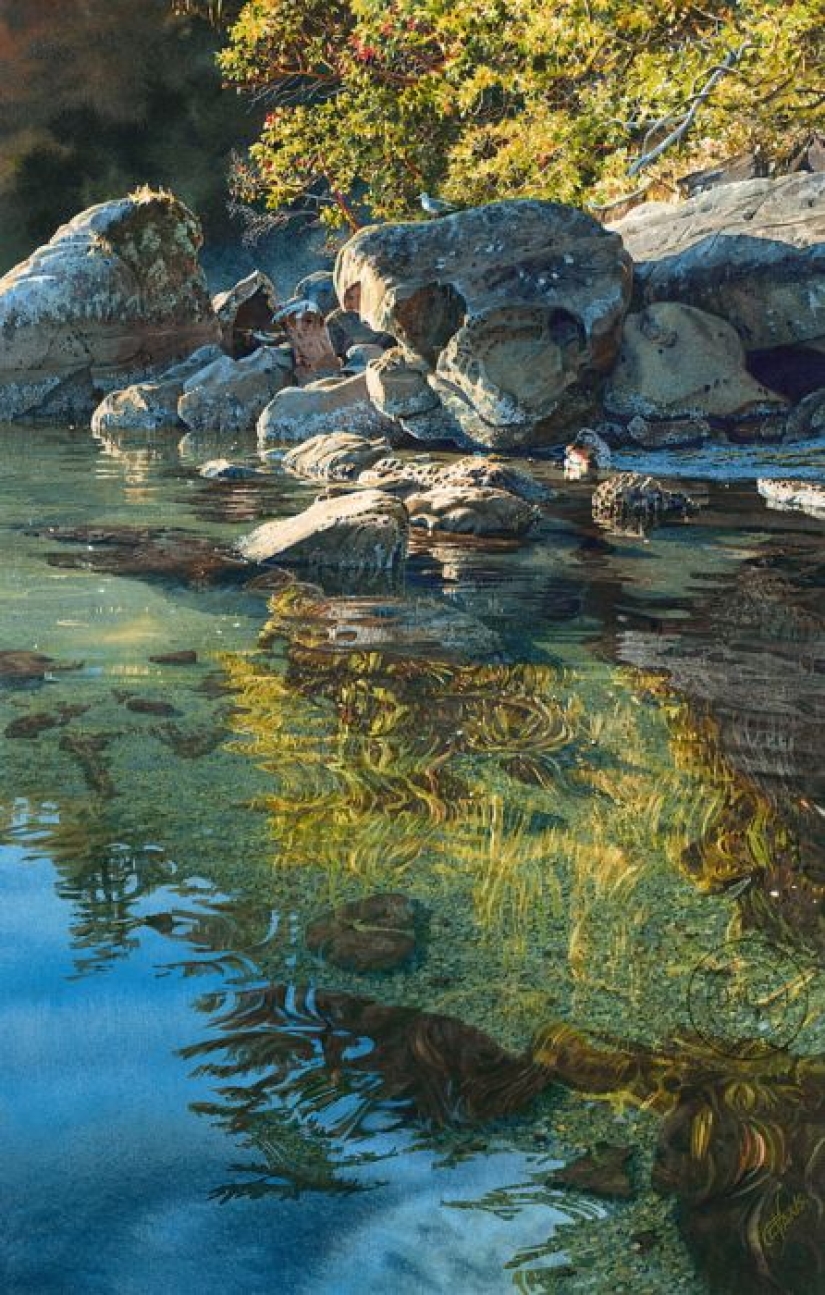 Acuarela realismo: los increíbles paisajes Carol Evans Acuarela realismo: los increíbles paisajes Carol Evans