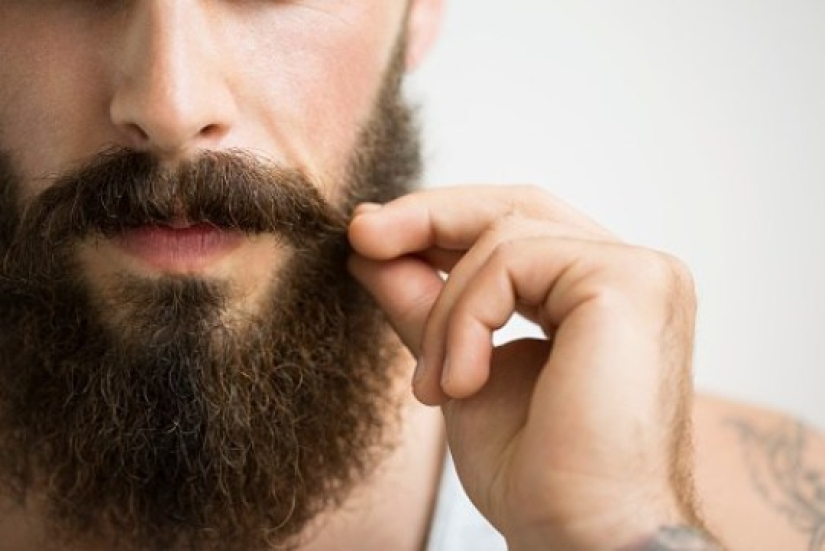 ¡Aféitate de inmediato! Según la investigación científica, hay más microbios en la barba de un hombre que en el pelo de los perros ¡Aféitate de inmediato! Según la investigación científica, hay más microbios en la barba de un hombre que en el pelo de los perros