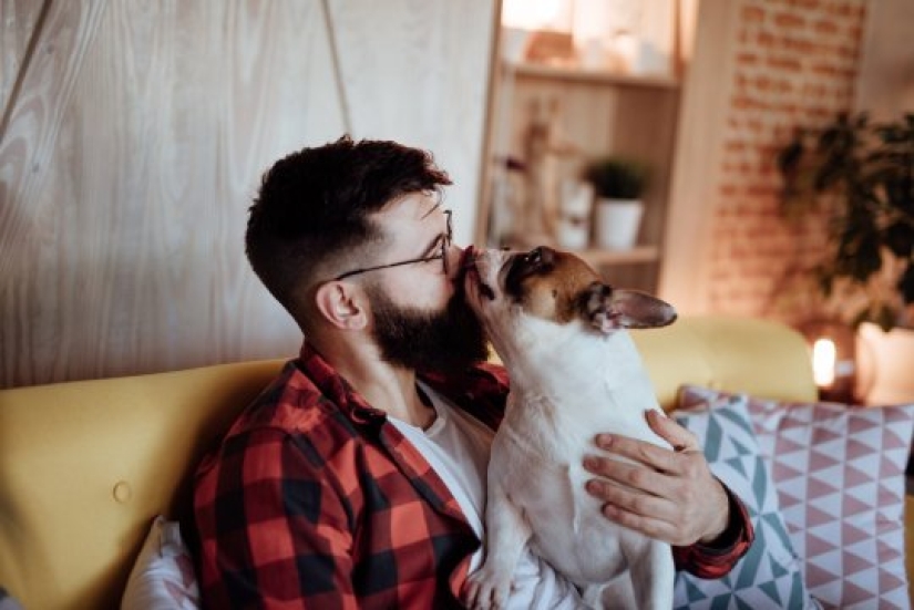 ¡Aféitate de inmediato! Según la investigación científica, hay más microbios en la barba de un hombre que en el pelo de los perros ¡Aféitate de inmediato! Según la investigación científica, hay más microbios en la barba de un hombre que en el pelo de los perros