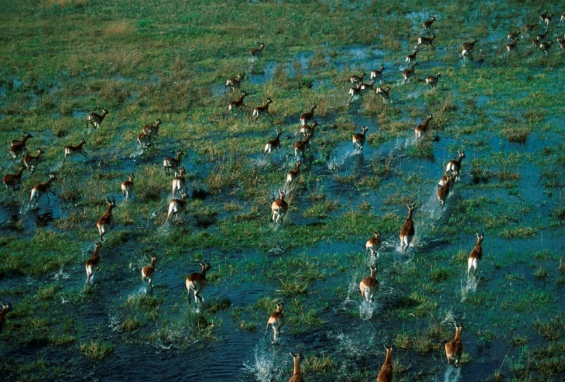 africa aerial view africa aerial view