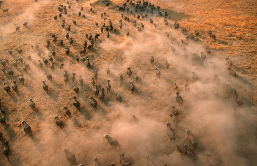 africa aerial view africa aerial view