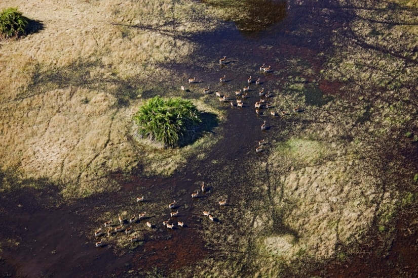 africa aerial view africa aerial view