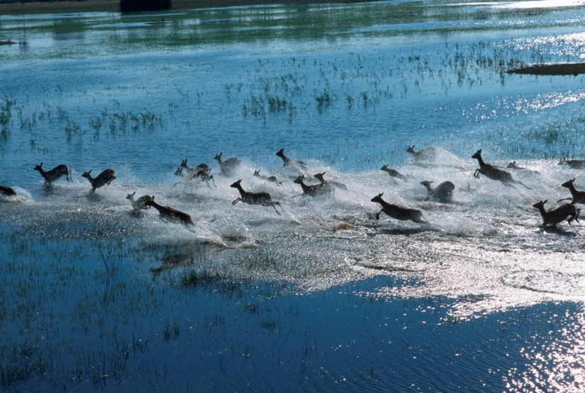 africa aerial view africa aerial view