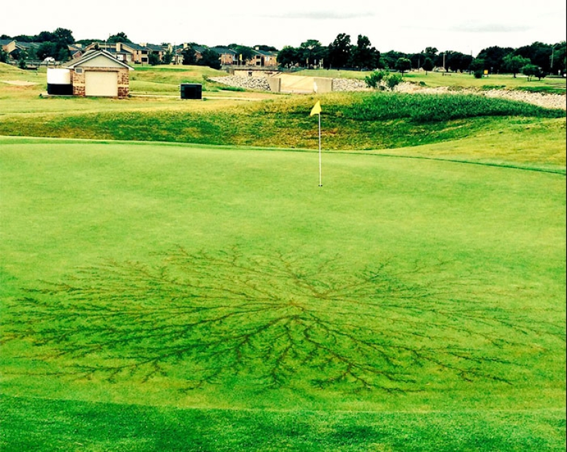 After discharge: what happens to a man who was struck by lightning