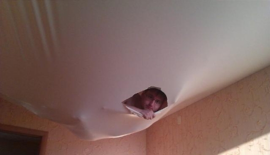 Again filled neighbors? Epic photos that will make you think about moving to a private house Again filled neighbors? Epic photos that will make you think about moving to a private house