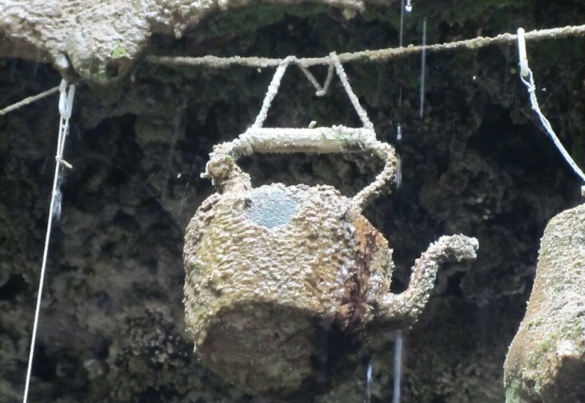 Agua Muerta: Por Qué el Pozo de la Madre Shipton Convierte las Cosas en Piedra