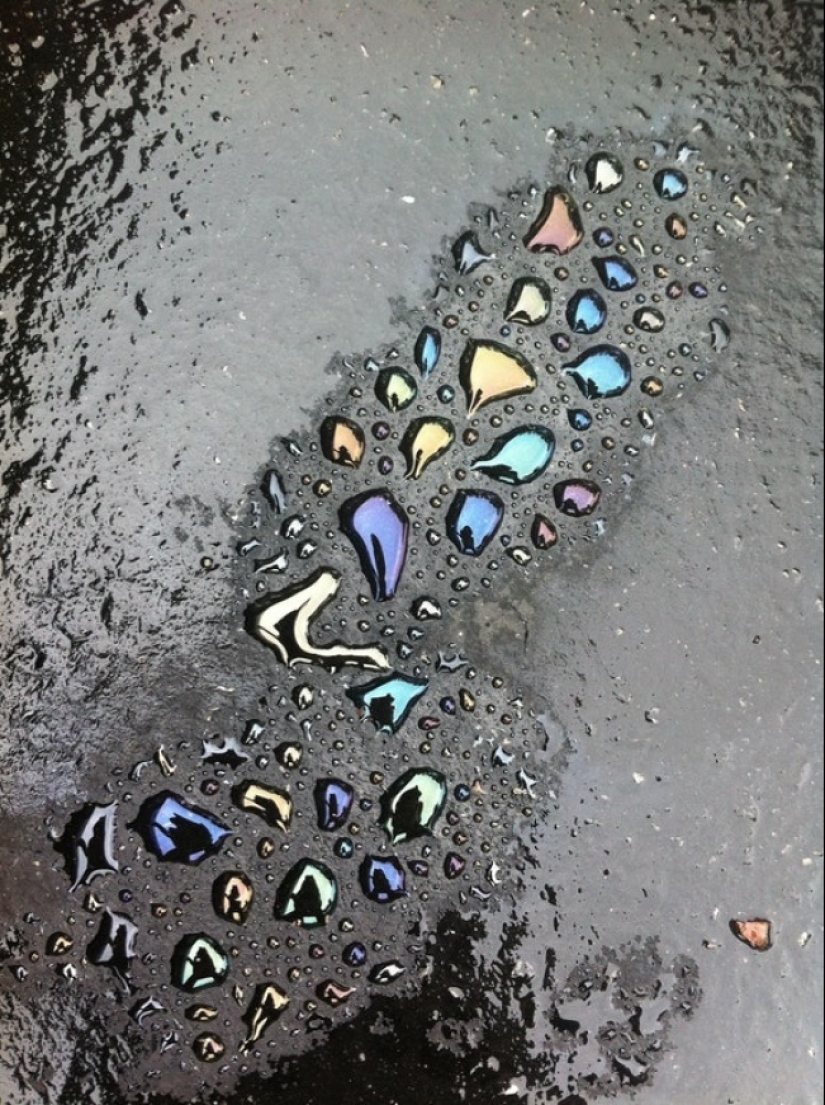 "Ahora lo he visto todo" : 25 fotos, después de ver que se puede decir con seguridad "Ahora lo he visto todo" : 25 fotos, después de ver que se puede decir con seguridad