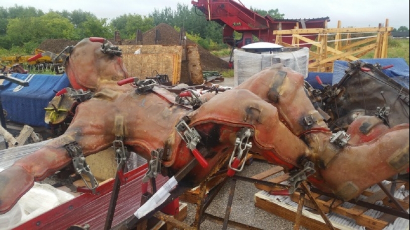 "Ahora lo he visto todo" : 25 fotos, después de ver que se puede decir con seguridad "Ahora lo he visto todo" : 25 fotos, después de ver que se puede decir con seguridad