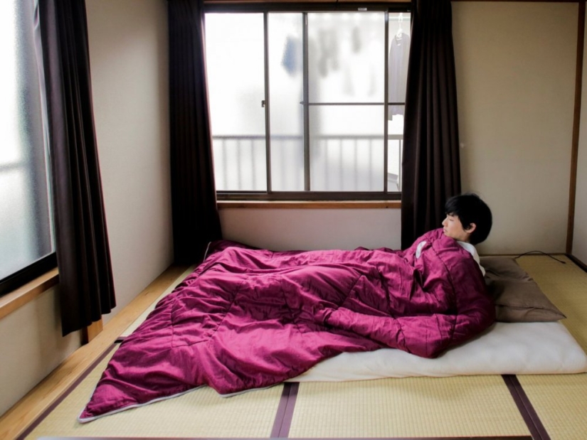 Al menos la pelota está rodando: apartamentos dolorosamente vacíos de minimalistas japoneses