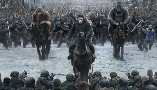 All of the people: how two clans of chimpanzees gave 4-year-old bloody war