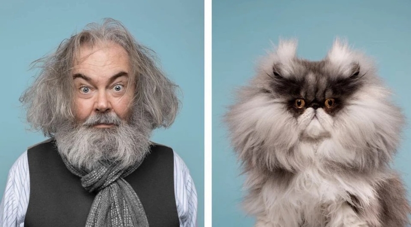 Almost indistinguishable: the photographer has shown how similar cats with their owners Almost indistinguishable: the photographer has shown how similar cats with their owners