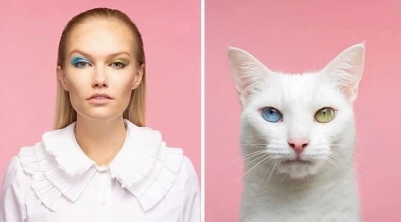 Almost indistinguishable: the photographer has shown how similar cats with their owners Almost indistinguishable: the photographer has shown how similar cats with their owners