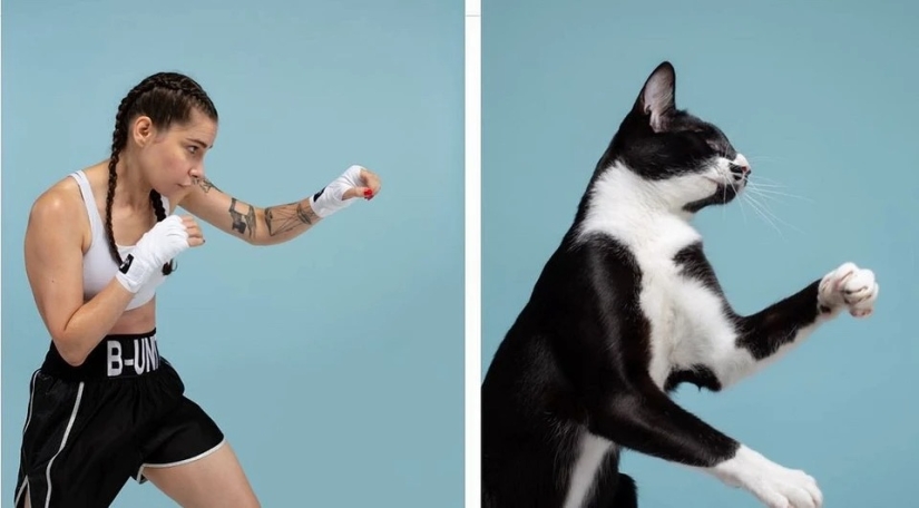 Almost indistinguishable: the photographer has shown how similar cats with their owners Almost indistinguishable: the photographer has shown how similar cats with their owners