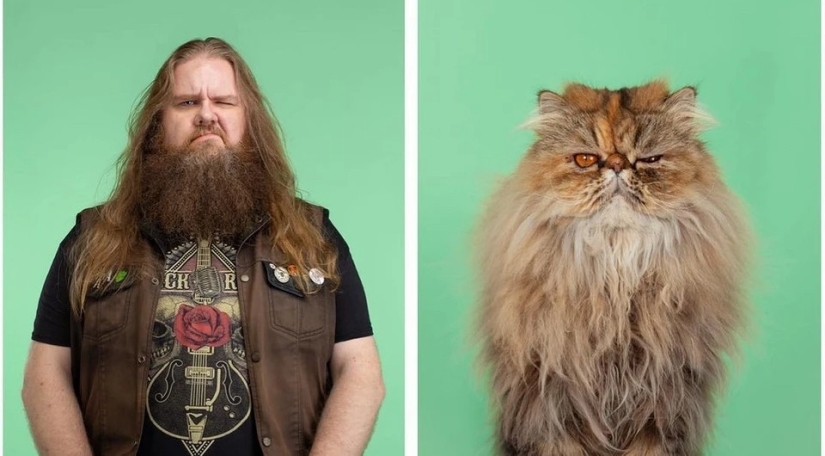 Almost indistinguishable: the photographer has shown how similar cats with their owners Almost indistinguishable: the photographer has shown how similar cats with their owners