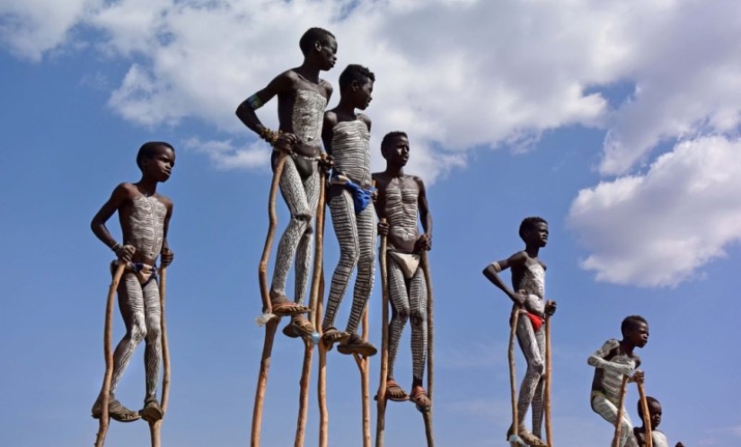Always on top: why Banna men prefer to walk on stilts