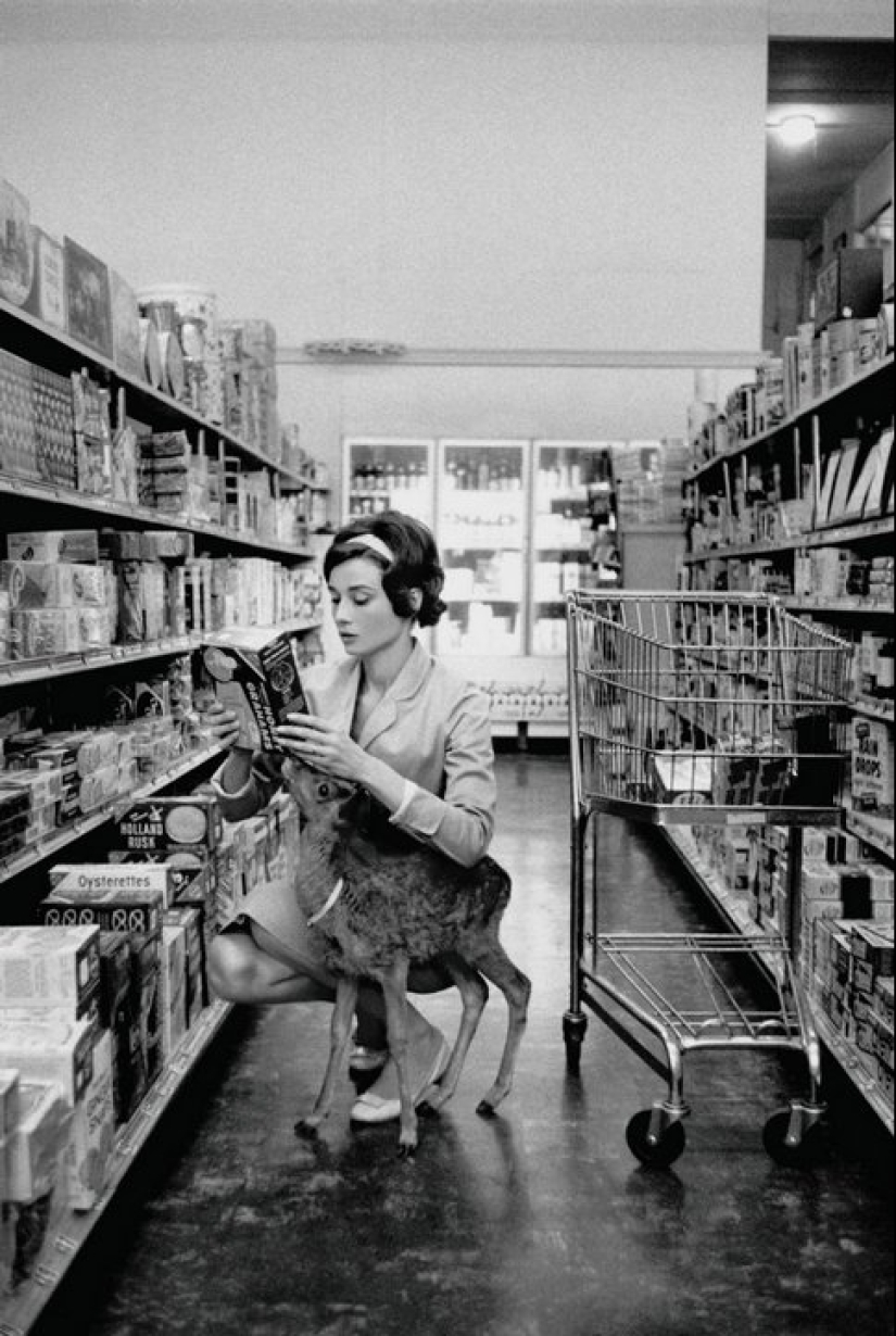Amazing little-known historical photos Amazing little-known historical photos