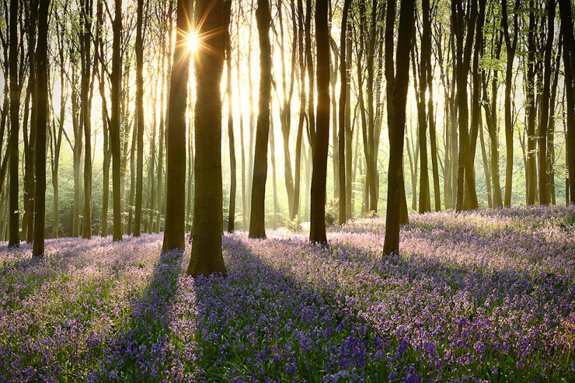 Amazing Nature Photography by Landscape Photographer James Appleton