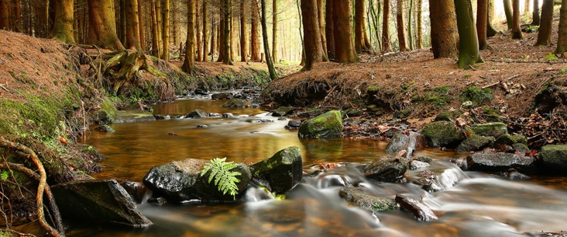 Amazing Nature Photography by Landscape Photographer James Appleton