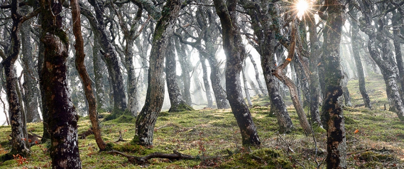 Amazing Nature Photography by Landscape Photographer James Appleton