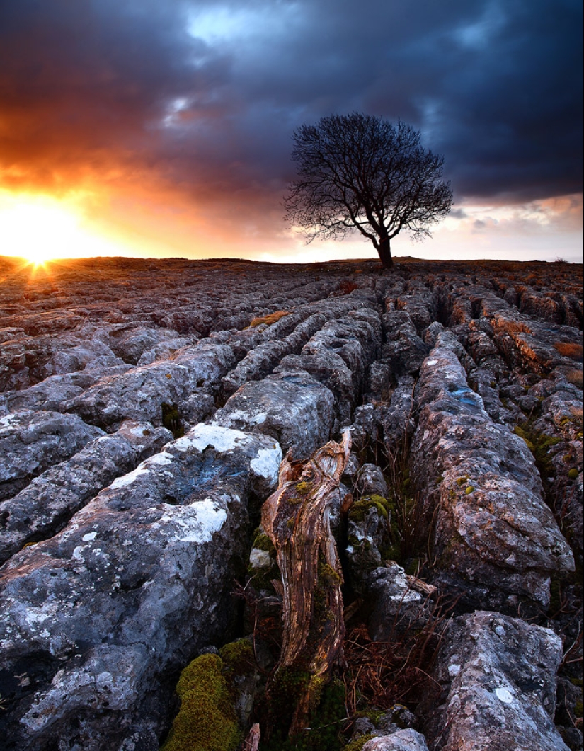 Amazing Nature Photography by Landscape Photographer James Appleton
