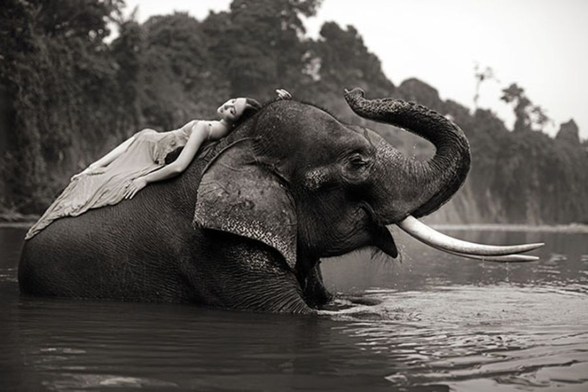 Amazing portraits of Asian models and celebrities with wild animals Amazing portraits of Asian models and celebrities with wild animals