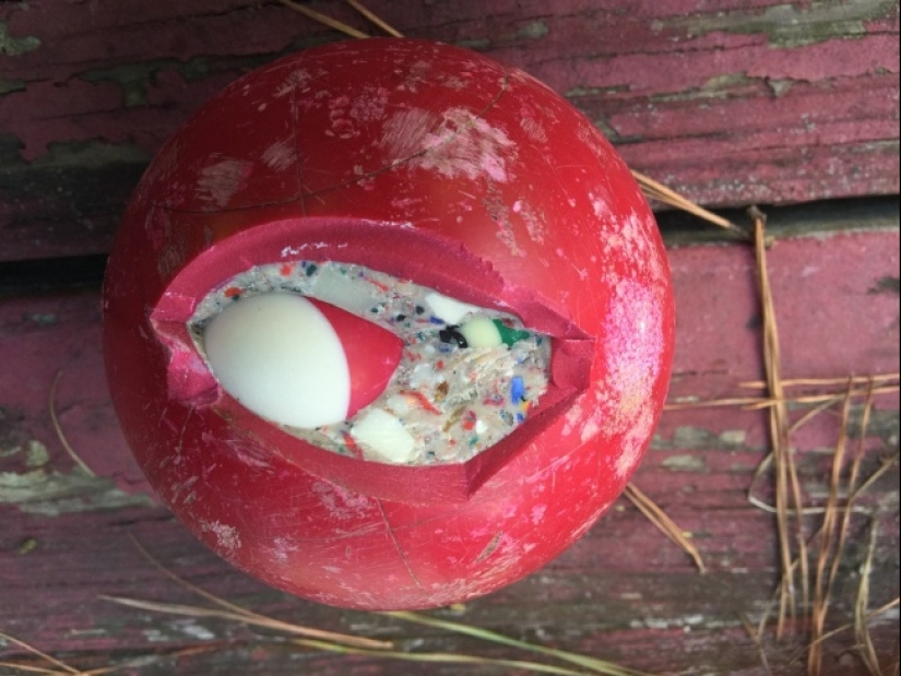 Amazing surprises hidden inside everyday things