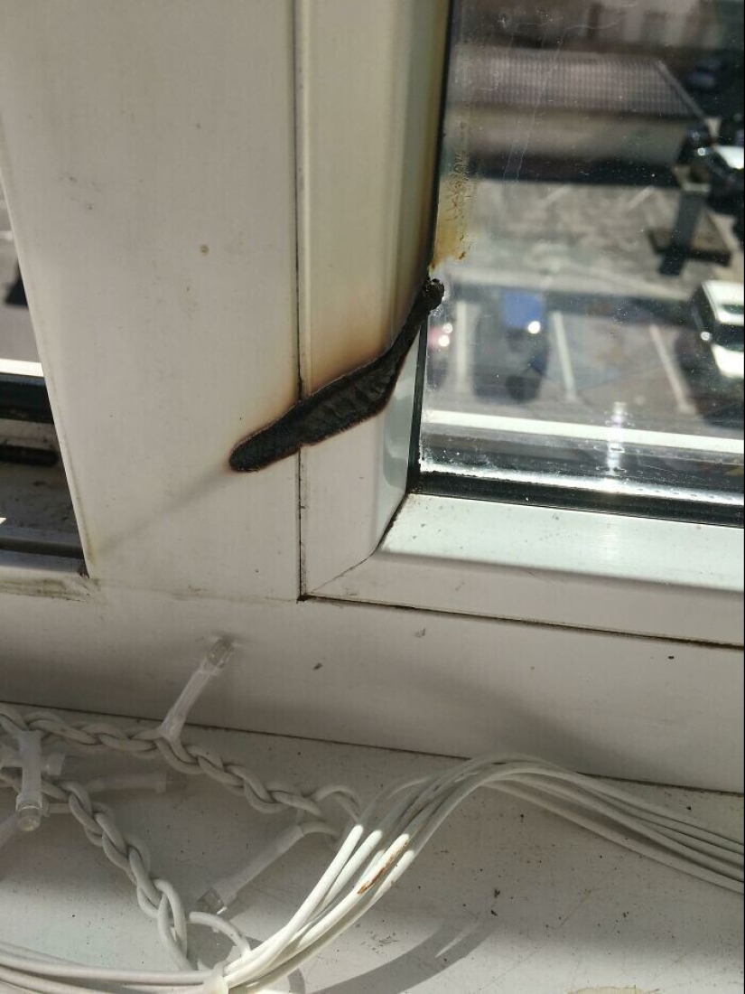 Amenaza efecto de lente: 18 casos, cuando un aparentemente inofensivo elementos a la causa del incendio
