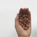 Amnesty of chips: the blogger clearly showed that healthy and harmful food has one calorie content Amnesty of chips: the blogger clearly showed that healthy and harmful food has one calorie content