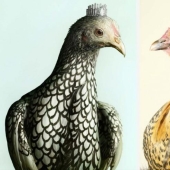 An unusual look at jewelry from Peter Lippman An unusual look at jewelry from Peter Lippman