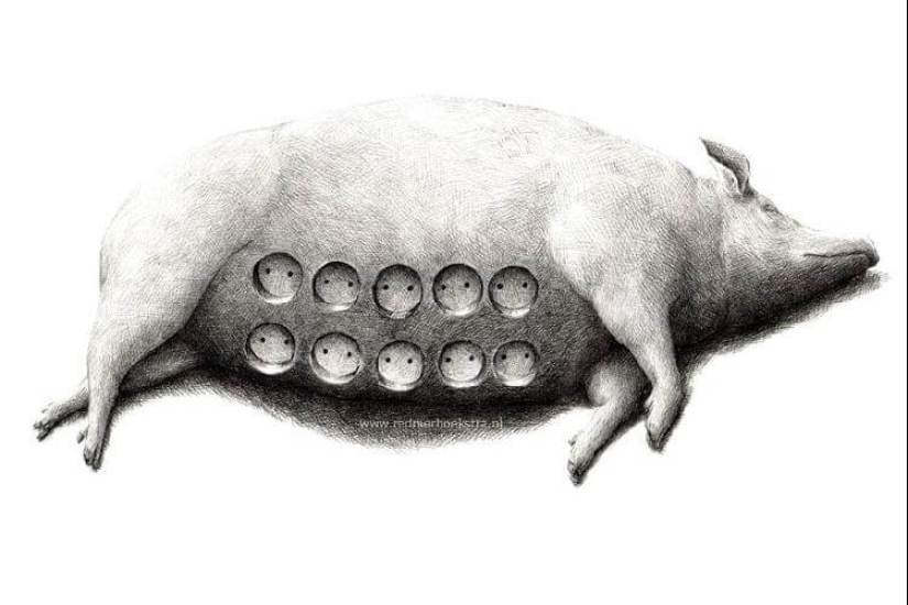 An unusual look at ordinary things from the artist Redmer Hoekstra An unusual look at ordinary things from the artist Redmer Hoekstra