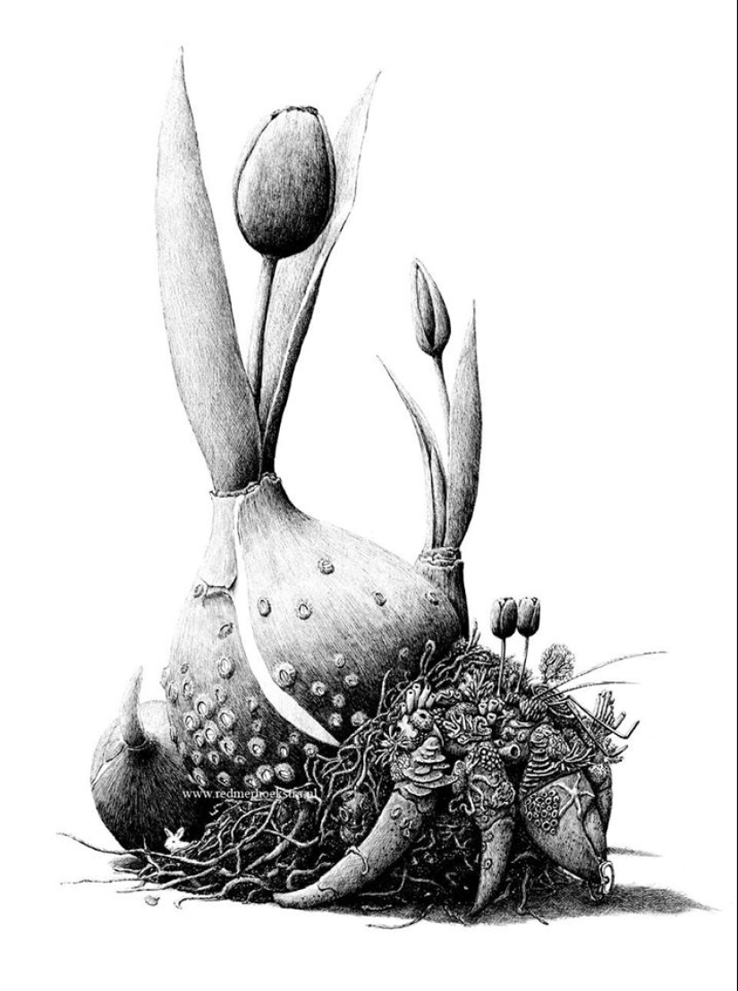 An unusual look at ordinary things from the artist Redmer Hoekstra An unusual look at ordinary things from the artist Redmer Hoekstra