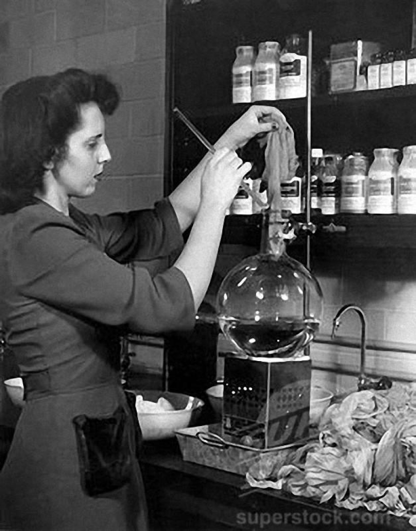 And on this day, women found happiness – nylon stockings went on sale. And on this day, women found happiness – nylon stockings went on sale.