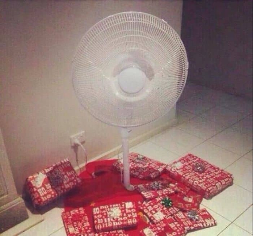 "And so it will come down!" 20 crazy Christmas trees that appeared thanks to Mother laziness