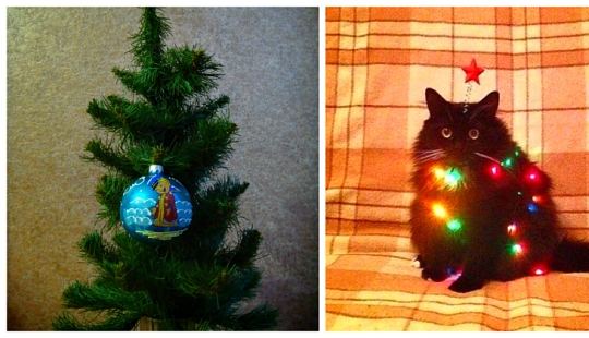 "And so it will come down!" 20 crazy Christmas trees that appeared thanks to Mother laziness