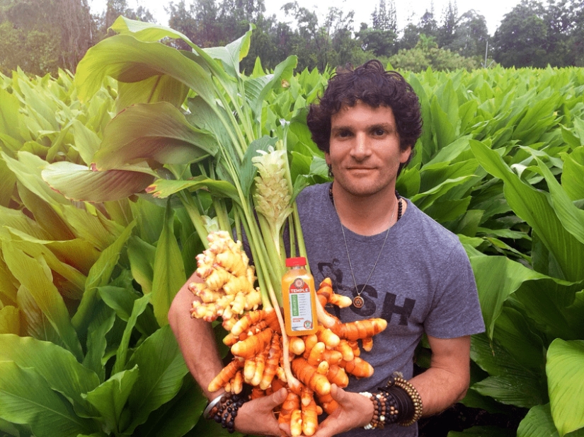 And you didn't know: 10 photos showing how famous products grow