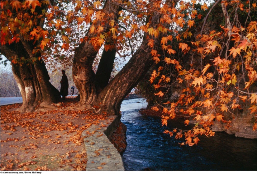 Aquatic series by Steve McCurry Aquatic series by Steve McCurry