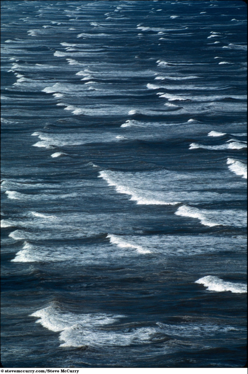 Aquatic series by Steve McCurry Aquatic series by Steve McCurry