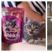 Are the accidents not random? 22 examples of cute coincidences that will amuse you Are the accidents not random? 22 examples of cute coincidences that will amuse you