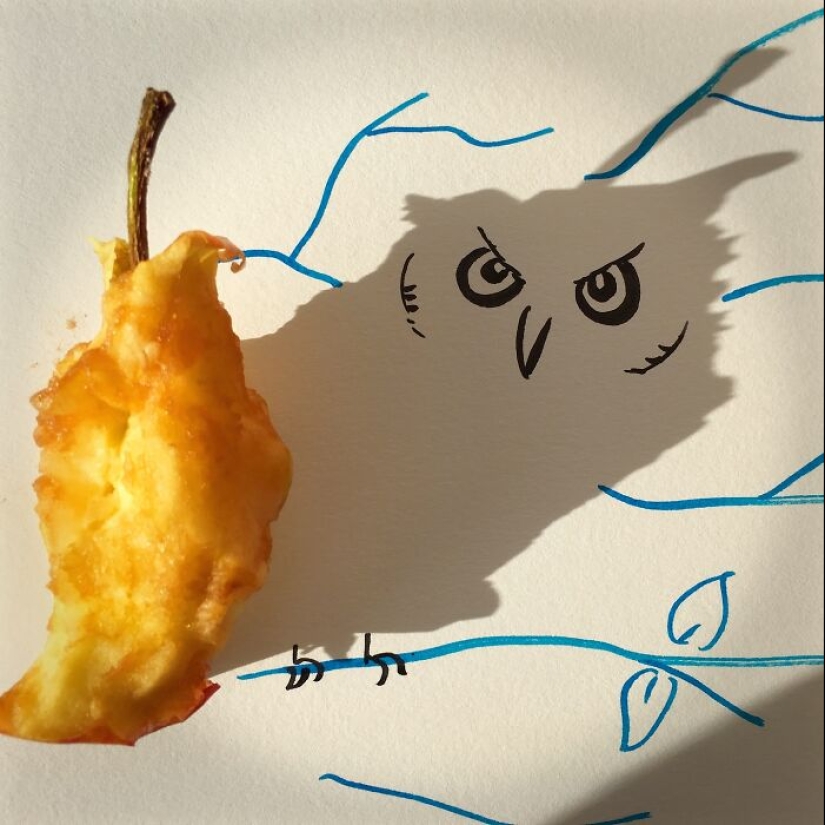 Artist Transforms Shadows Of Everyday Objects Into Illustrations Artist Transforms Shadows Of Everyday Objects Into Illustrations