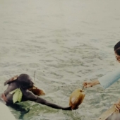 As a female anthropologist was able to establish contact with the wild tribes As a female anthropologist was able to establish contact with the wild tribes