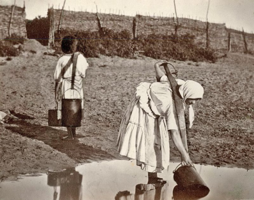 As was arranged, "the Swedish family" of the don Cossacks before the advent of "spiritual scrapie"